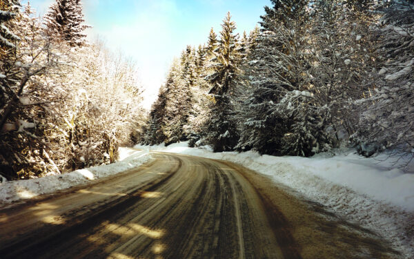 Wallpaper Snow, Path