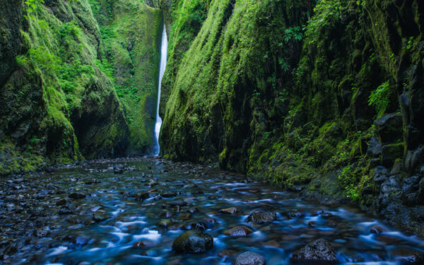 Wallpaper Gorge, Waterfall, Oregon, Oneonta