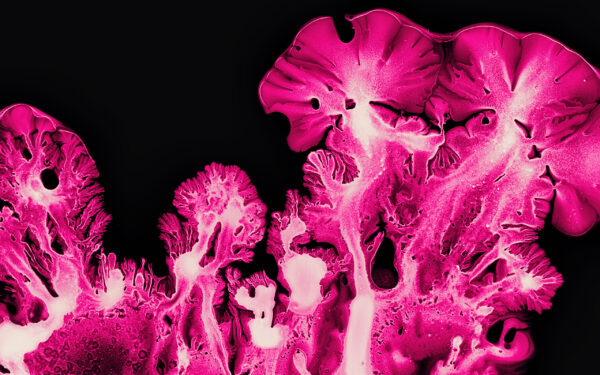 Wallpaper Pink, Macro, Coral, Art, Ink