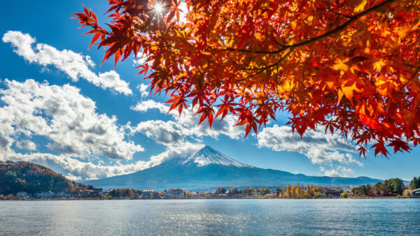 Wallpaper Nature, Japan, Mobile, Mountain, Mount, Desktop, And, Lake, Landscape, Fuji