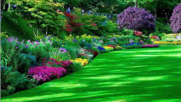 Wallpaper And, With, Desktop, Flowers, Colorful, Green, Grass, Garden, Park