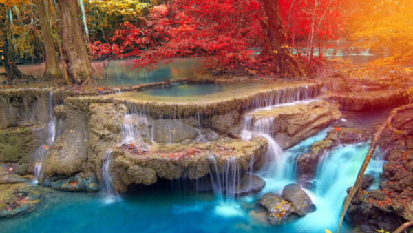 Wallpaper Daytime, Desktop, Red, Nature, Trees, Waterfall, Stream, Mobile, During, Autumn, Yellow
