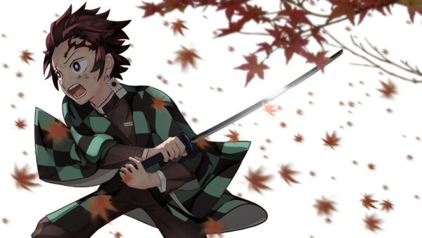 Wallpaper Falling, Dry, Kamado, Dress, Desktop, Checked, Sword, White, Green, Anime, Tanjirou, Leaves, Background, Slayer, Demon, Black, With, And, Wearing