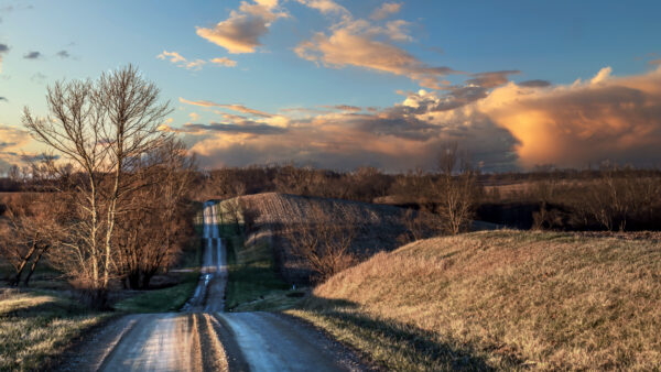 Wallpaper Mobile, Between, Dry, Nature, Background, And, Blue, Sky, Road, Desktop, With, Grass, Clouds, Field