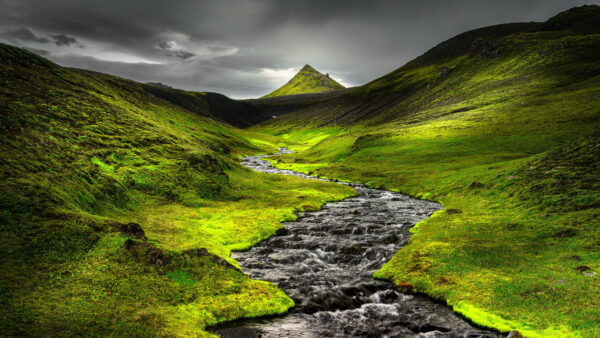 Wallpaper View, Beautiful, Algae, Peak, Mountain, Landscape, Nature, Covered