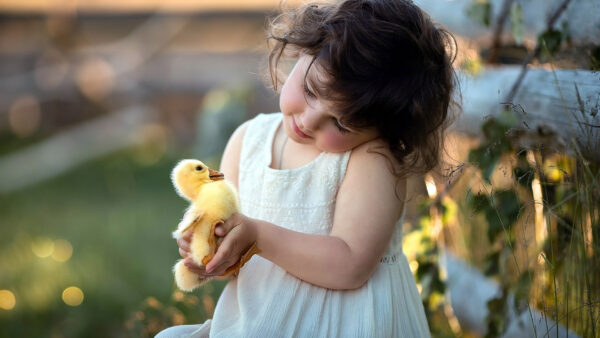 Wallpaper Yellow, White, Little, Small, Holding, Hands, Wearing, Girl, Dress, With, Cute, Hen