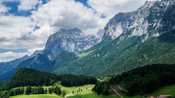 Wallpaper Nature, Mountains, Slope, Forest