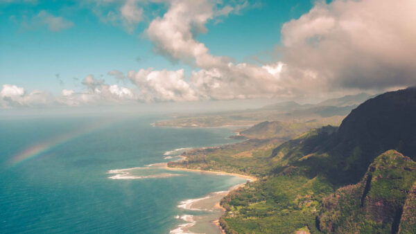 Wallpaper Trees, Aerial, Sea, Desktop, Mountains, Island, Coast, View, Green, Mobile, Nature