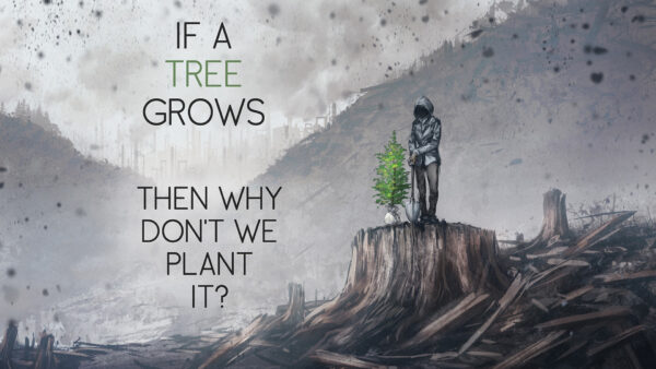 Wallpaper Tree, Desktop, Plant, Grows, Then, Inspirational, Why, Not