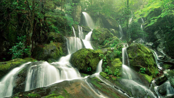 Wallpaper Waterfalls, Moss, And, Trees, Stones, Green, View, Between, With, Nature, Desktop, Rock, Beautiful