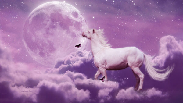 Wallpaper Desktop, With, Stars, And, Moon, Artistic, Picture, Horse