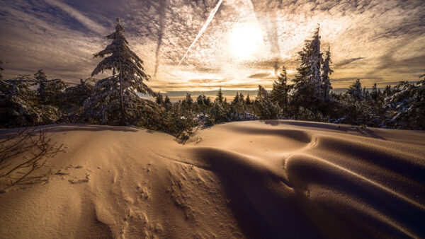 Wallpaper Sand, Mountain, Snow, Trees, Covered, With, Cloudy, Like, Sky, Winter, Look, Under, And