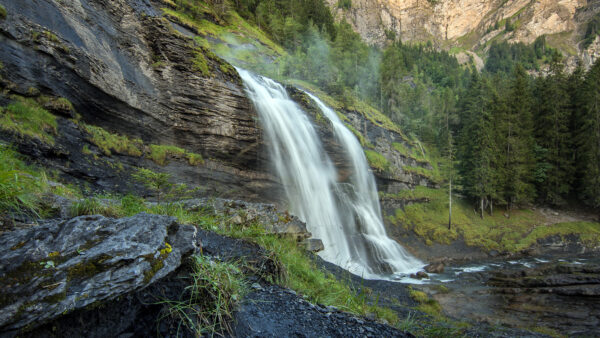 Wallpaper Desktop, Trees, Nature, Forest, Rocks, From, Waterfalls, Green, Stone, Mobile, Background