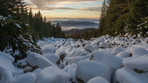Wallpaper Winter, Desktop, White, During, Snow, Stones, Covered, With
