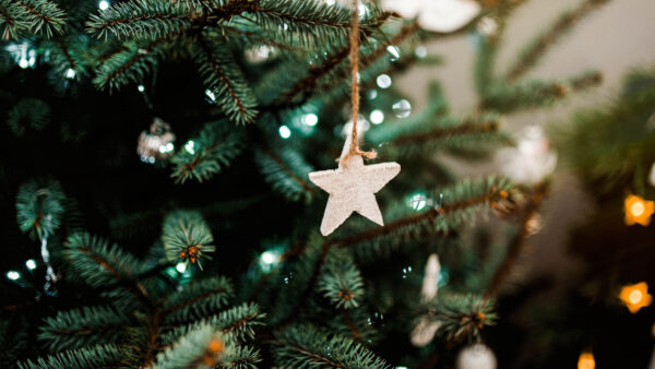 Wallpaper Desktop, Decoration, Star, Mobile, Tree, Lights, White, Christmas
