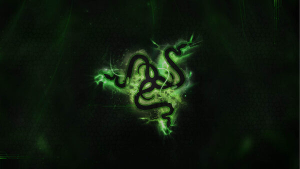 Wallpaper Razer, Desktop, Black, Logo, Green, Background, Hexagon