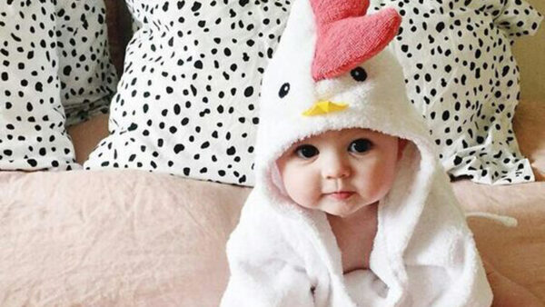 Wallpaper Chicken, Cute, Inside, Hooded, Baby, Bed, Towel, Sitting, Infant