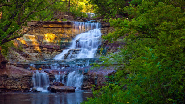 Wallpaper Nature, Stream, Background, Waterfalls, Plants, Green, Bushes, Forest, Rocks, Trees