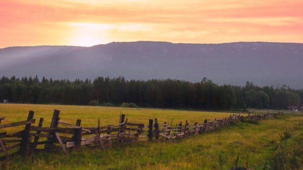 Wallpaper Nature, Mountains, Forest, Desktop, Mobile, During, Fence, With, Field, Grass, Background, Green, Sunset, Trees