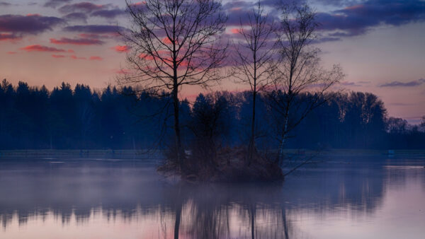 Wallpaper Desktop, Tree, Black, Red, During, Mobile, Clouds, Sunset, Reflection, Branches, Lake, Sky, Nature, Island, Under