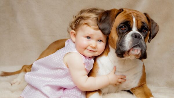 Wallpaper Posing, With, For, Photo, Dog, Toddler, Cute, Sitting, Bed, Child, Girl