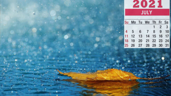 Wallpaper July, Dry, Calendar, Leaf, 2021, Background, Rain