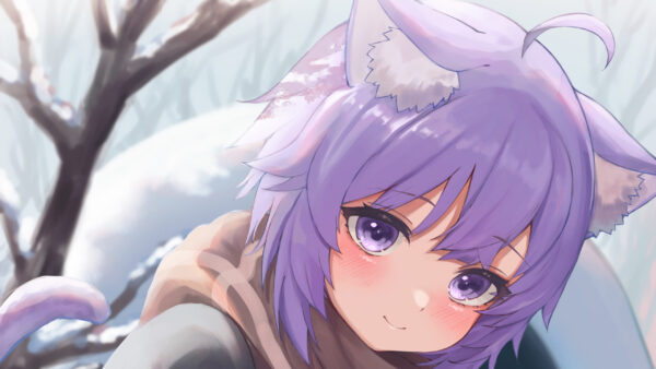 Wallpaper Ears, Neko, Purple, Anime, Girl, Hair, Eyes