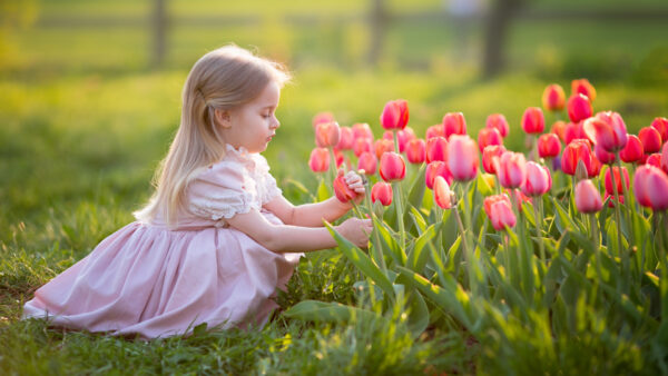 Wallpaper Desktop, Blur, Sitting, Little, Green, Background, Touching, Tulip, Pink, Dress, Grass, Light, Wearing, Cute, Girl