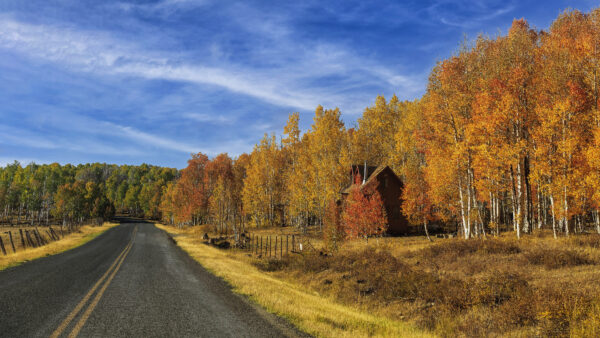 Wallpaper Around, Sky, During, Desktop, Under, House, Fall, And, With, Blue, Mobile, Trees, Road, Nature, Clouds