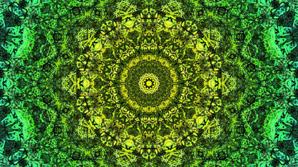 Wallpaper Pattern, Mandala, Abstraction, Green, Abstract, Fractal, Yellow, Mobile, Desktop