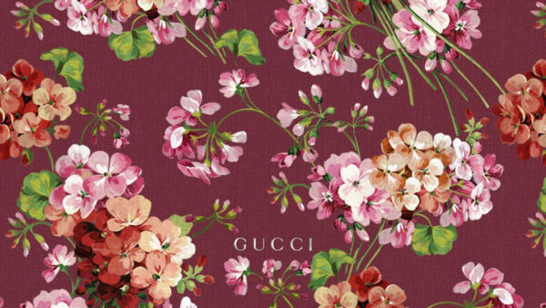 Wallpaper Flowers, Gucci, Desktop, With, Word