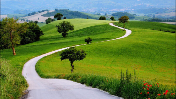 Wallpaper Plants, Nature, Road, Between, Desktop, Grass, Trees, Beautiful, Mobile, Green, Field, Slope