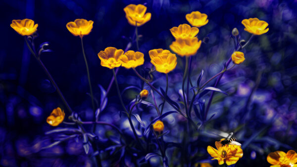 Wallpaper Purple, Flowers, Bokeh, Yellow, Plants, Background, Desktop, Mobile