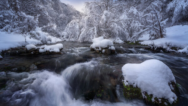 Wallpaper Forst, Stream, Winter, Between, Waterfall, Forest, River, Desktop