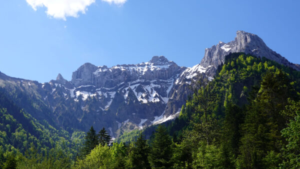 Wallpaper Mountains, Green, Trees, Bushes, Background, Desktop, White, Sky, Nature, Scenery, Forest, Blue, Mobile, Under, Covered