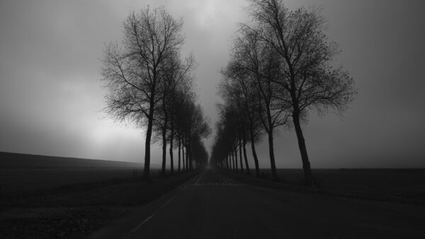 Wallpaper Straight, Road, And, Photo, Trees, Line, White, Under, Black, Sky, Mobile, Between, Desktop, Clouds, Nature