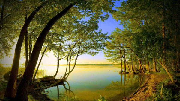 Wallpaper Beautiful, Trees, Reflection, Water, View, Nature, River