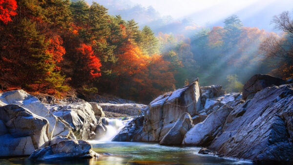 Wallpaper River, Colorful, Autumn, Background, Mist, Sunrays, Rocks, Water, Between, Nature, Surrounded, Stream, Forest, Trees