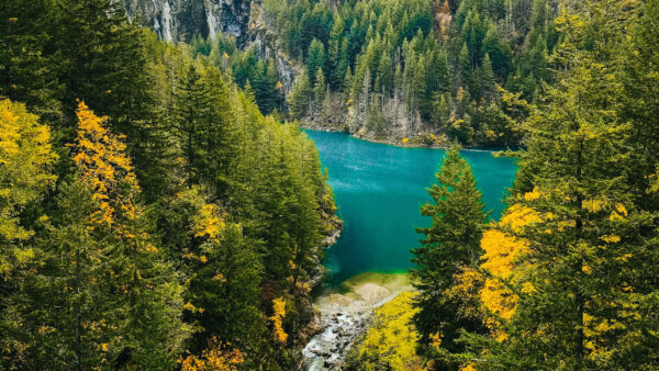 Wallpaper Autumn, View, Lake, Nature, Forest, Leafed, Yellow, Aerial, Green, Trees