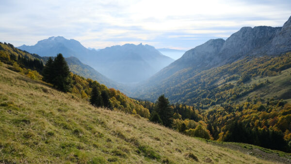 Wallpaper Fog, Slope, Trees, Mountains, Autumn, Mobile, Nature, Beautiful, With, Grass, Desktop