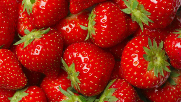 Wallpaper Red, Strawberries, Bunch, Strawberry