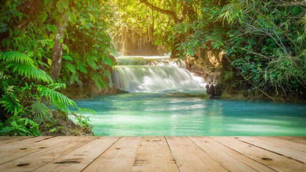 Wallpaper Forest, Waterfalls, Green, Dock, Trees, Wood, Nature, Lake, Beautiful, Bushes