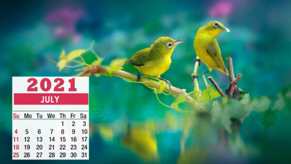 Wallpaper Background, Plant, July, Calendar, 2021, Blur, Birds, Stick