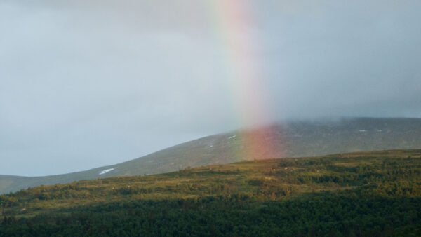 Wallpaper Nature, Slope, Lake, Sky, Mountains, Trees, Blue, Rainbow