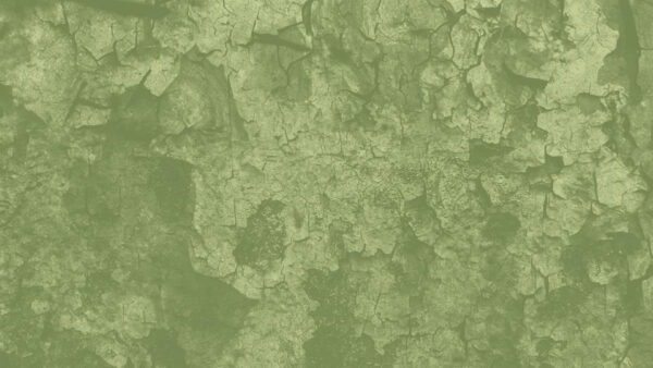 Wallpaper Sage, Color, Green, Stains