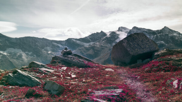 Wallpaper Sky, Clouds, Background, Nature, Stones, Pink, Flowers, Mountains, Rocks, Fog, With
