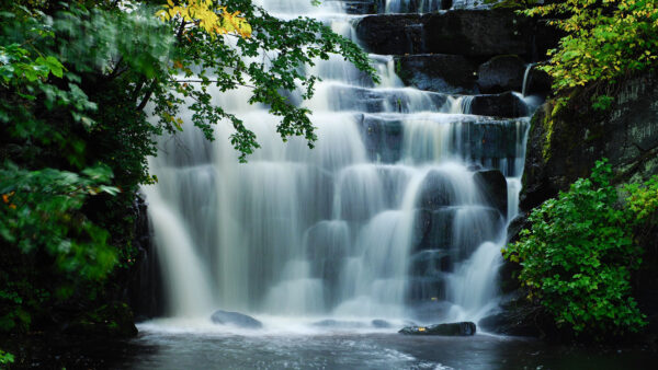 Wallpaper Leaves, Stream, Branches, Cascades, Waterfalls, Forest, Yellow, Green, Nature, Tree, Background