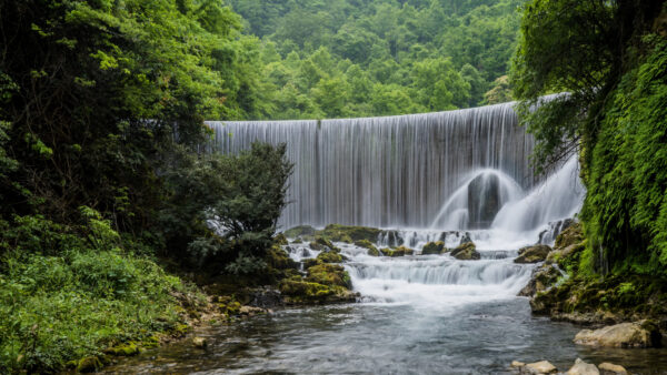 Wallpaper Pouring, Background, View, Trees, Forest, Bushes, Landscape, Waterfalls, Nature, River