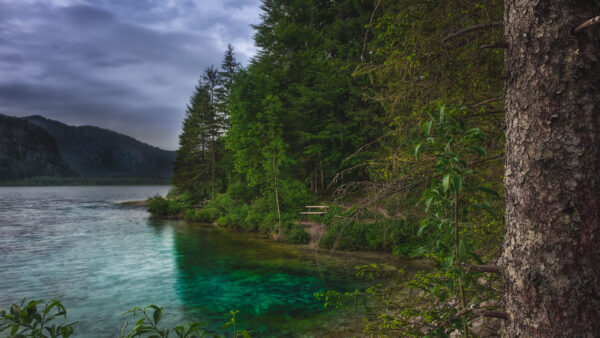 Wallpaper Reflection, Forest, Under, Nature, View, Clouds, Bushes, Mountains, Sky, Trees, Landscape, Lake