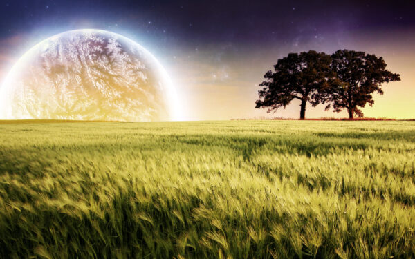 Wallpaper Planet, Landscape, Farm, Trees